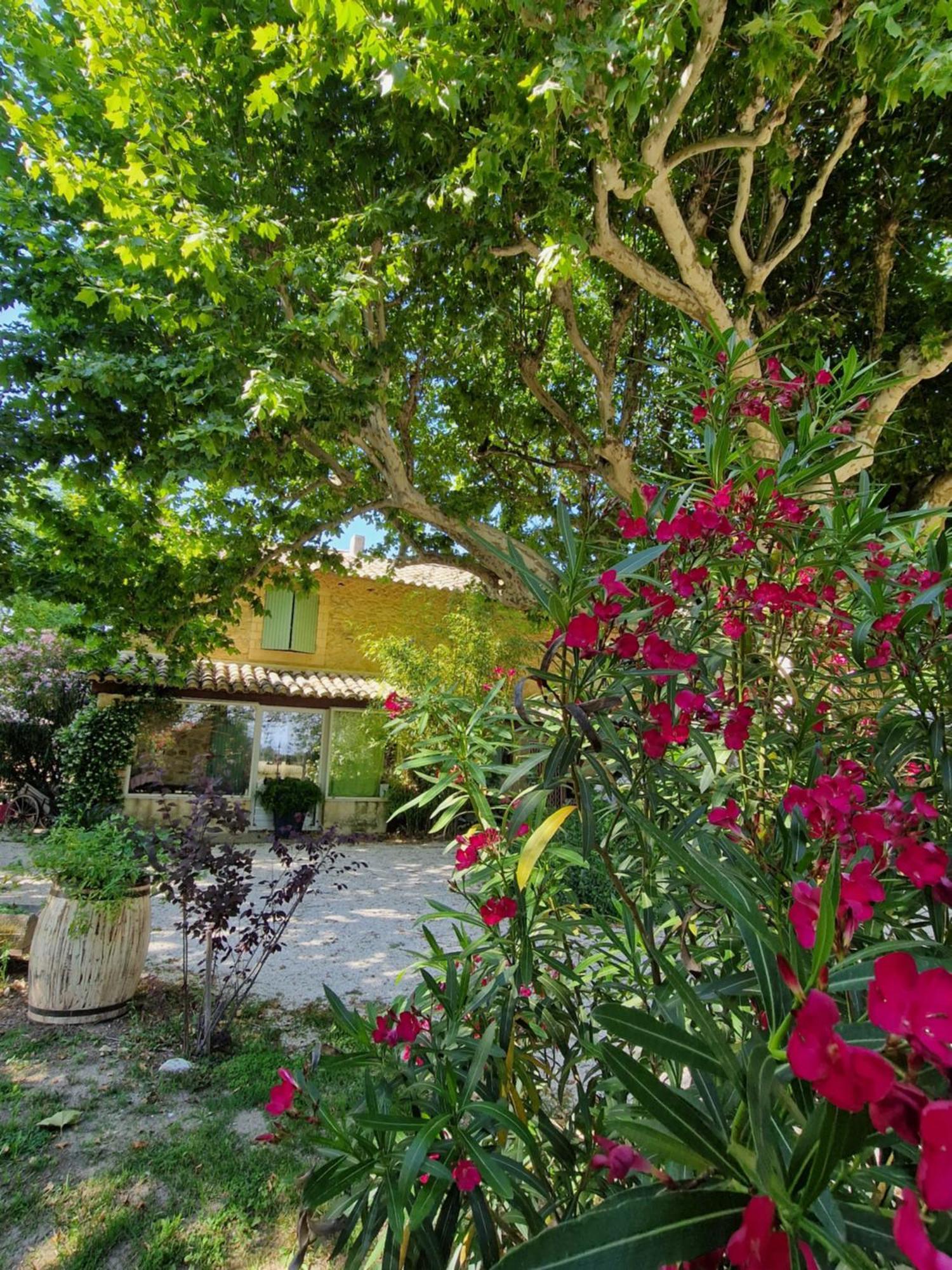 Séjour chez l'habitant Mes A La Campagne Orange (Vaucluse)