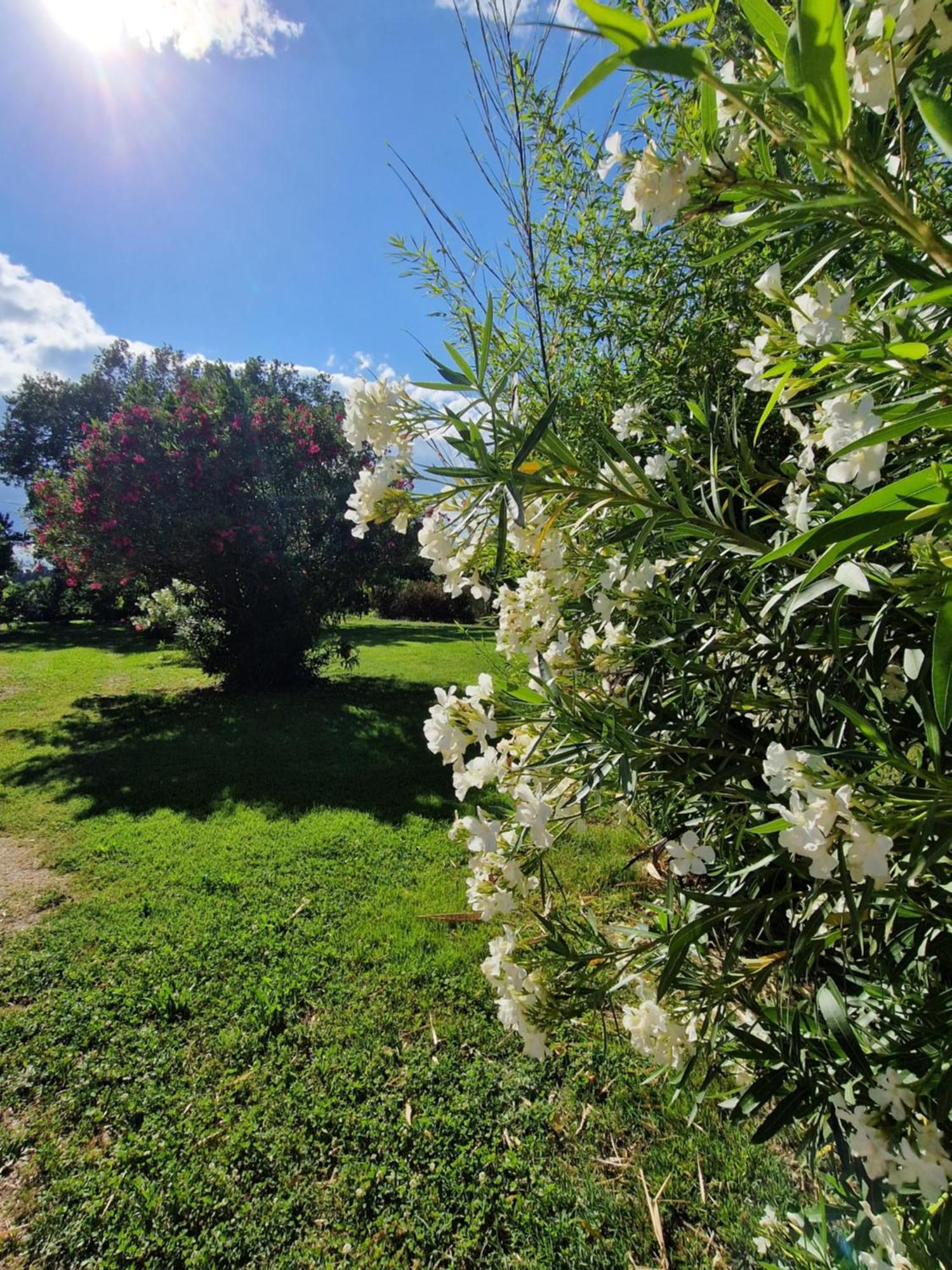 Mes A La Campagne * Orange (Vaucluse)